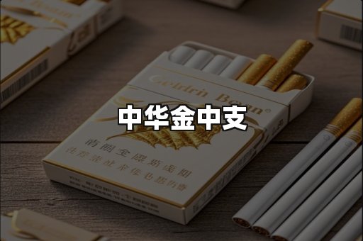 中华金中支